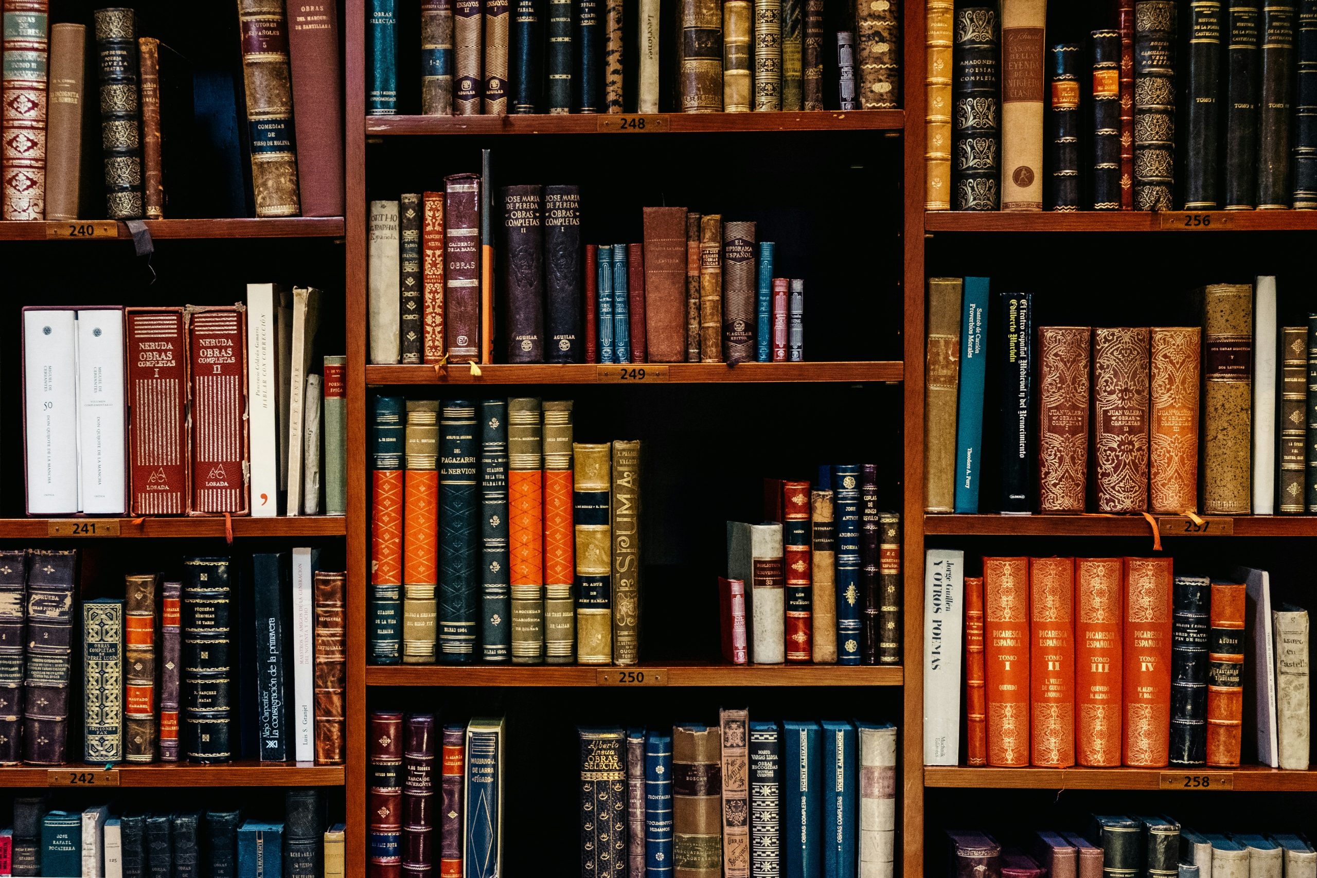 regał biblioteczny z dużą ilością książek